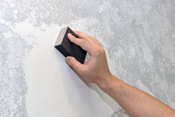 Best Biohazard Mold Removal  in Red Bank, NJ