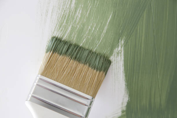 Best Dehumidification Services  in Red Bank, NJ