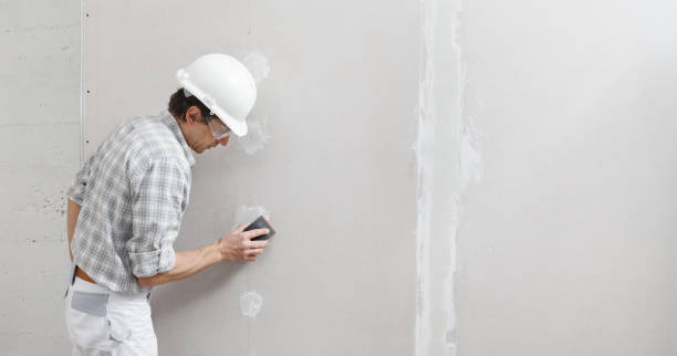 Best Commercial Mold Inspection  in Red Bank, NJ