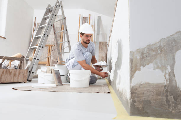 Red Bank, NJ Mold Removal Company