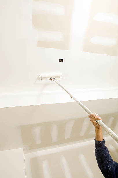 Best Black Mold Removal  in Red Bank, NJ