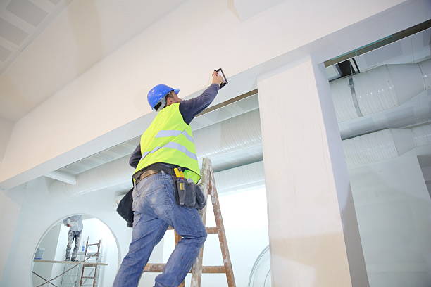 Best Basement Mold Removal  in Red Bank, NJ